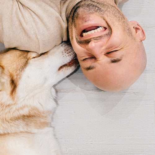 Turning Your Laundry Into a Dogs Sanctuary